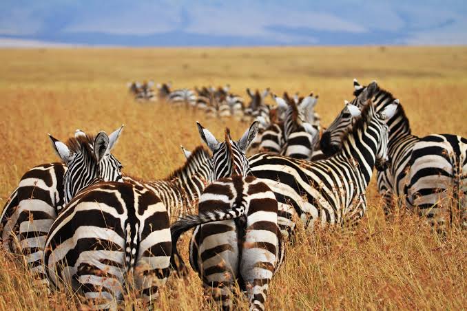 Botswana