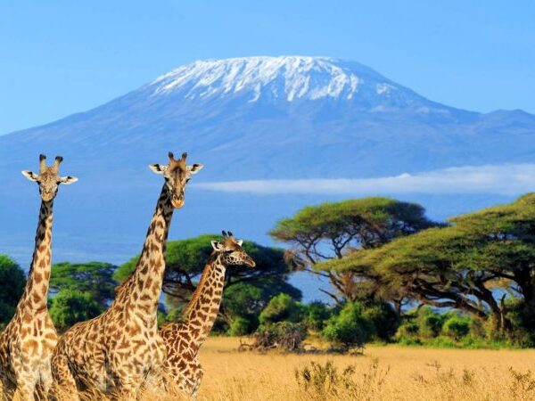 Kenya