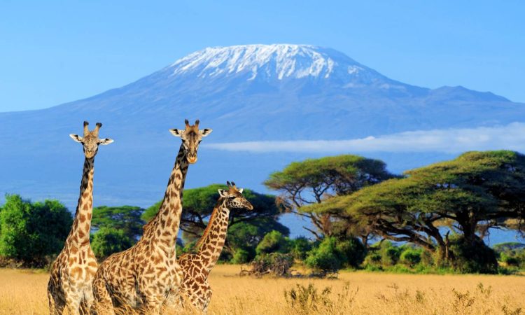 Kenya